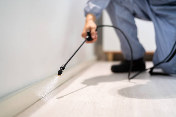 Professional exterminator conducting IPM assessment in Guyton